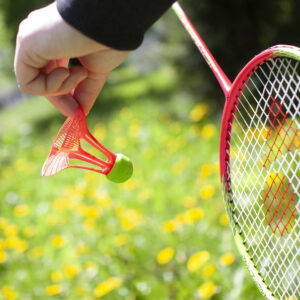 Воланы для бадминтона Airbadminton Shuttlecocks (3 шт)